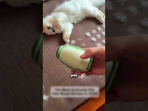 Un appareil spécial a été demandé pour nettoyer les poils de chat..