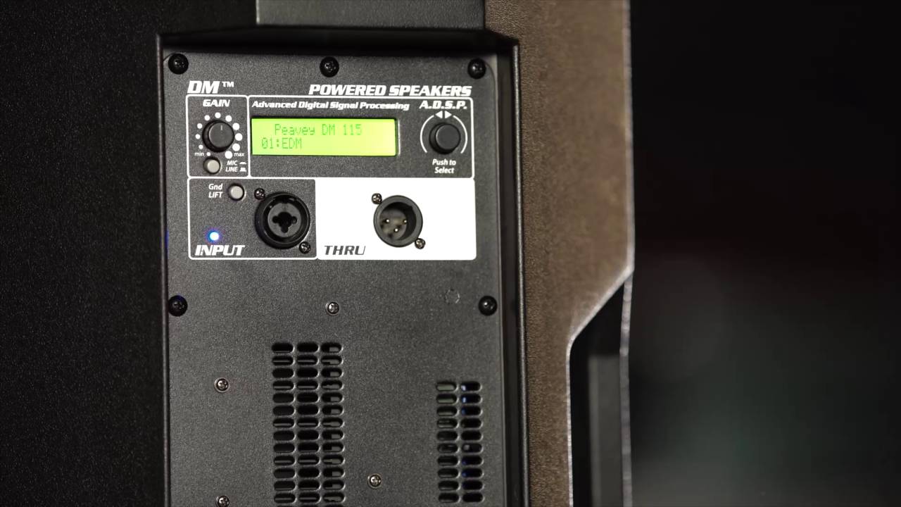 Peavey Dark Matter DM 115 15" Subwoofer