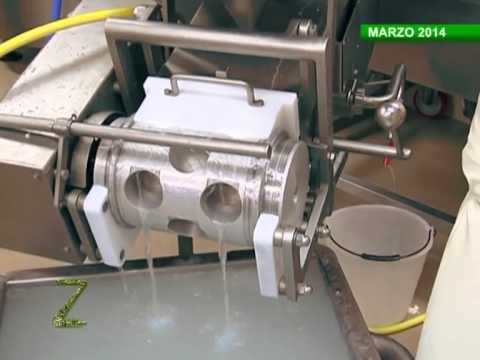 Zonattiva - Diaccialone Soc. Agr.