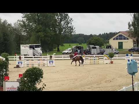 AILEENS QUALITY STREET (6yo Obos Quality) 09.2020 Isny - SPF L