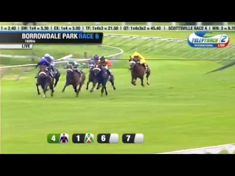 2017.03.12 Zimbabwe Guineas - Flasher on the Run