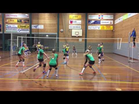 Emmen '95 MC2 - Pegasus XC2