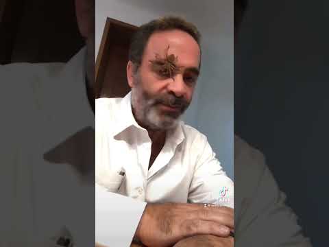 Broma a mi papá con el filtro de la araña 😂 #bromas #comedia #humor #risas #prank