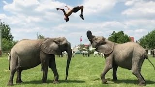 Man Performs Amazing Flips On Elephants: &#39;They Are Like My Brothers and Sisters&#39;