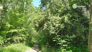 4  Spaziergang nach OP 15 Mai 2022