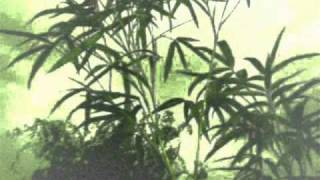 In-Existence (Maarten van der Vleuten) - Vow Of Silence (Tonefloat Rec, 2005)