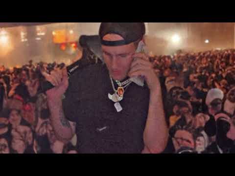 Introducing Vanilla Gorilla