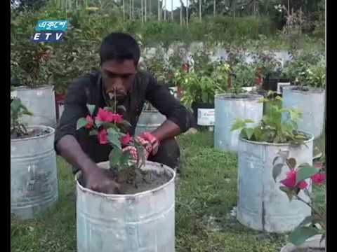 গাজীপুরের কাপাসিয়ায় নার্সারি গড়ে অনেকেই স্বাবলম্বী