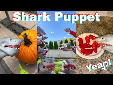 Best of SHARK PUPPET TikTok Compilation - Funny Shark Puppet TikToks of 2021
