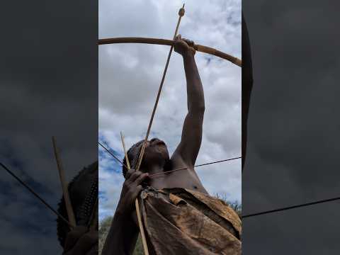 It's Hunting Time, Chaaba is not serious 😂😳😲‼️ #africa #villagelife #nature #food