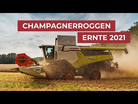 Champagnerroggen-Ernte 2021 in Schwante!