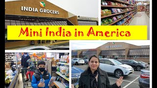 Indian Grocery in Edison, NJ || Little India in America || Indian Street || OAK Tree