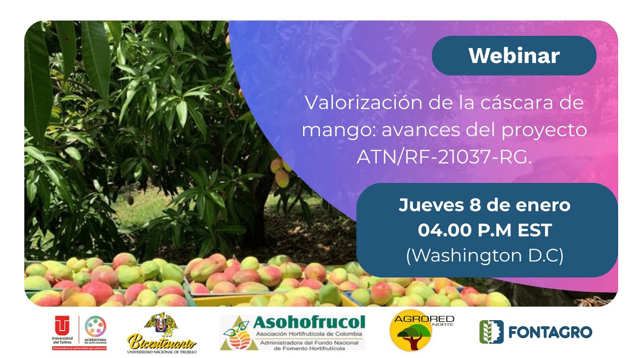 Valorización de la cáscara de mango