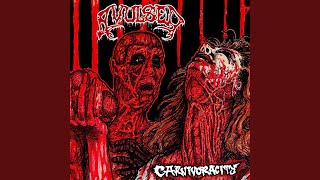 Matando Gueros/Raining Blood (Outro)