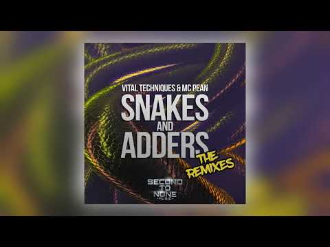 Vital Techniques & Mc Pean - Snakes and Adders (Bailey P Remix) [Audio]