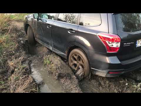 Subaru Forester XT wyjazd z błota