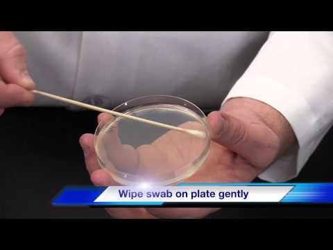 Kirby Bauer Disk Diffusion Method