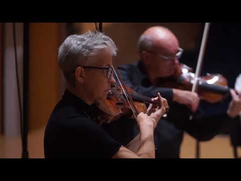 Partizanų dainos - Žvaigždėtos vasaros nakty