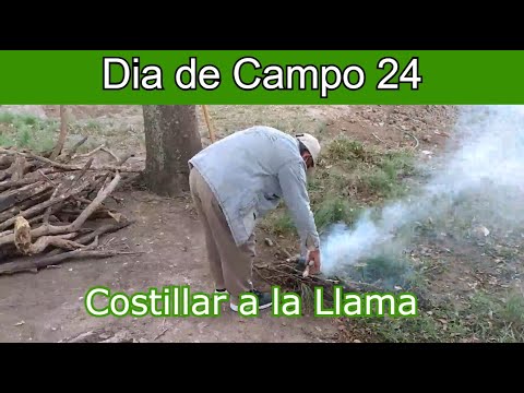 #24 - Costillar a la Llama #viral