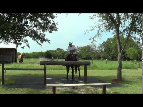 Mr T Ran Off When I Called Him - So I Give A Short Horse Ride To Help Mr. T Gain Respect