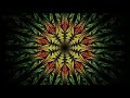 Lord Buddha Whatsapp Status
