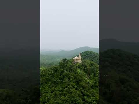 Explore the Wild Beauty of Gir Forest National Park, Gujarat | A Sanctuary for the Asiatic Lion