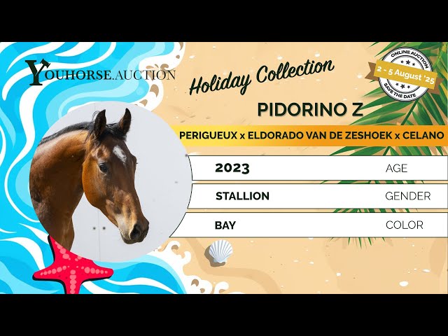 Pidorino Z