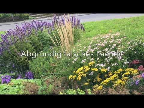 Abgründig falsches  Lachen