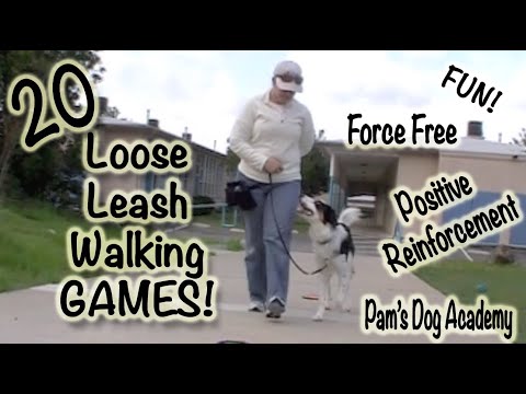 20 Loose Leash Walking Games: Positive Dog Training