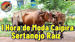 1H S DE MODA CAIPIRA - SERTANEJO DE RIZ