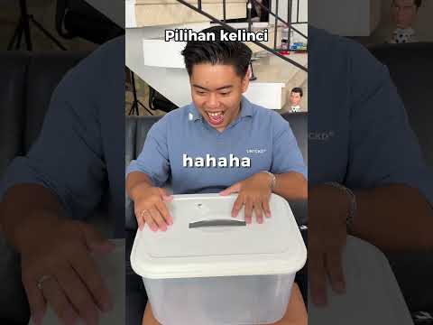 Pilihan kelinci🥹🥹