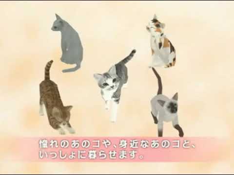夢ねこDS