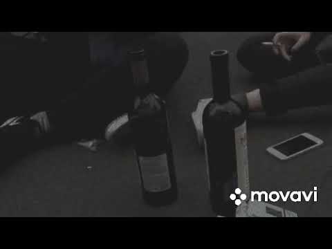 ditvak_feat_emie_-_forever_young #Ditvak #music #pop