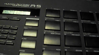Roland R-5 - What To Know & Where To Buy | Equipboard