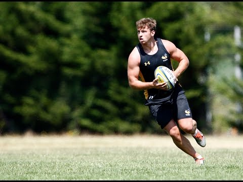 Welcome To Wasps - Brendan Macken