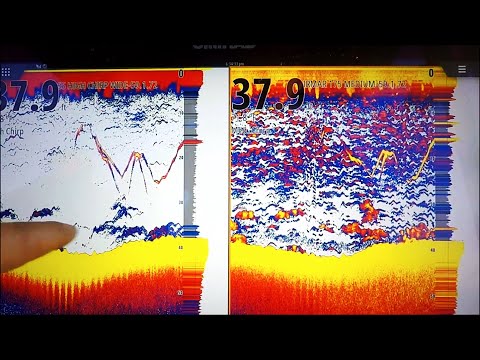 TRANSDUCER COMPARISON -TM165 High Wide CHIRP Vs.B175 Medium CHIRP.
