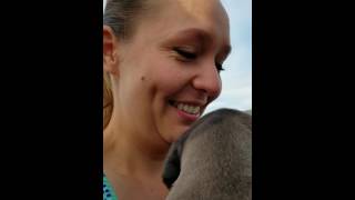 Hemingway, the blue great dane puppy surprise!