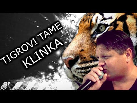 TIGROVI TAME - KLINKA [UŽIVO]
