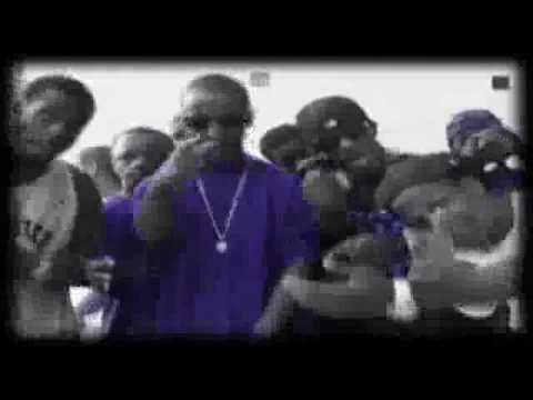 cerose tripps page "starnine"