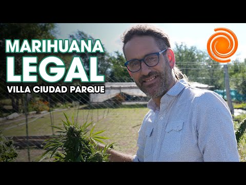 Así es la primera plantación LEGAL de marihuana en Córdoba | Villa Ciudad Parque