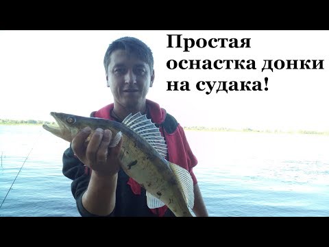 Фото Самая простая оснастка для ловли судака с берега на малька! выпуск № 28