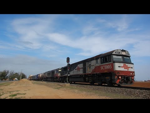 SCT Freight 1MP9 & The Bowmans Rail Balco 4120 power through Bolivar - 20/04/2020