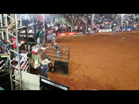 Bipolar da Cia. Paulo Emílio no Rodeio de Colorado 2018