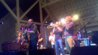 southside johnny and the asbury jukes / without love