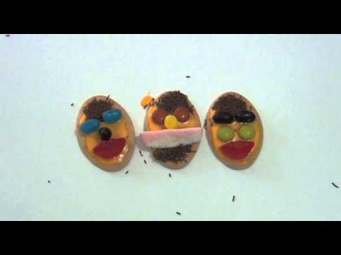 download lagu mp3 mp4 Milk Arrowroot Biscuits With Icing, download lagu Milk Arrowroot Biscuits With Icing gratis, unduh video klip Milk Arrowroot Biscuits With Icing
