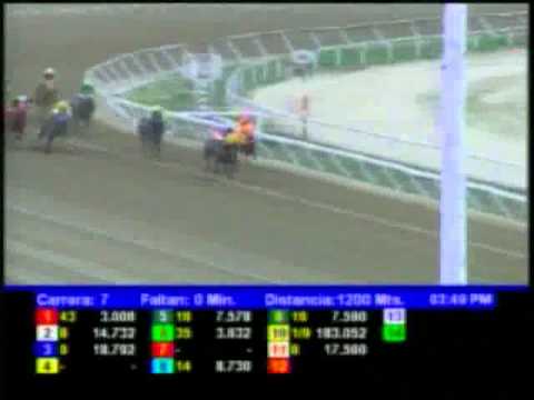 Resumen, Sabado 24 de Marzo de 2012 -La Rinconada