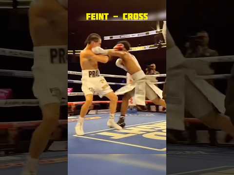 Boxing Feint 🥊 #boxing #boxer #mma #martialarts #fighter #usa
