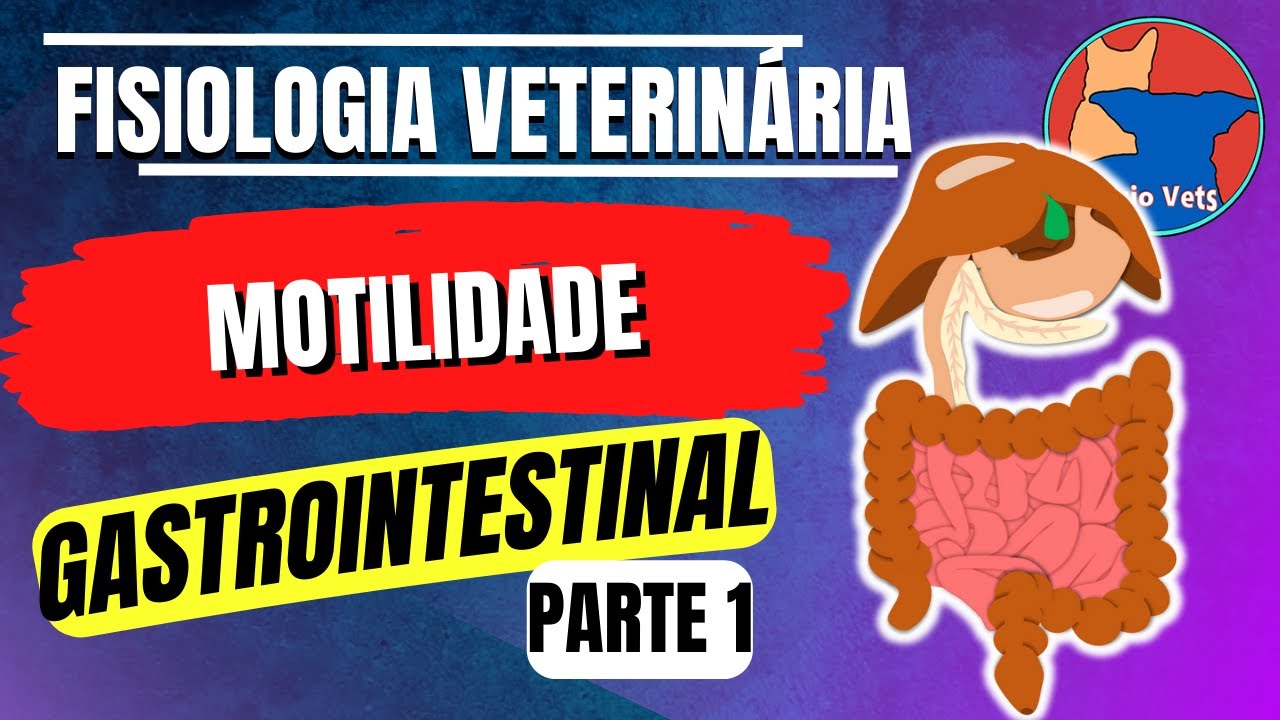 Fisiologia do Sistema digestório - Padrões de Motilidade Gastrointestinal - Aula 2 (Parte 1)
