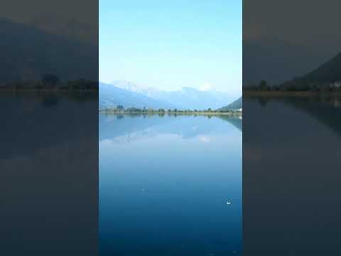 Plavsko jesero with a doggy #montenegro