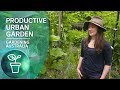 A Highly Productive Small Scale Urban Garden Urban Farming Gardening Australia